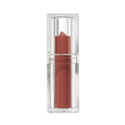 300 - Warm Taupe